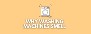 Why Does a Washing Machine Smell?