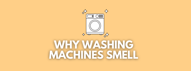 Why Does a Washing Machine Smell?