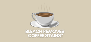 A banner image with a coffee cup vector and the text reads" bleach removes coffee stains?