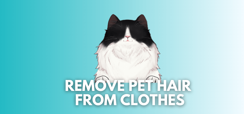 A banner image with a cat vector and the text reads, "remove pet hair from clothes"
