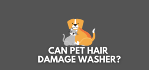 A banner image with two vectors of pet and the text reads, "can pet hair damage washer?"